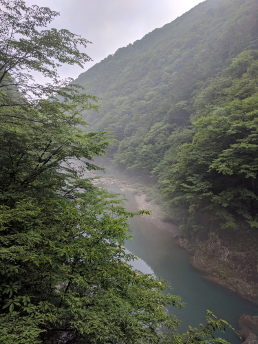 IMG_20170702_155729.jpg