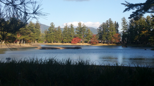 20161027_150346.jpg