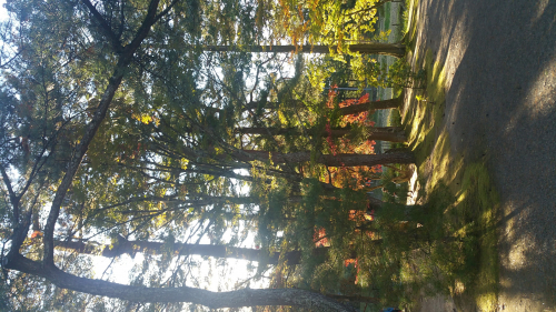 20161027_150448.jpg