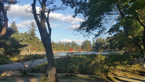20161027_150519.jpg