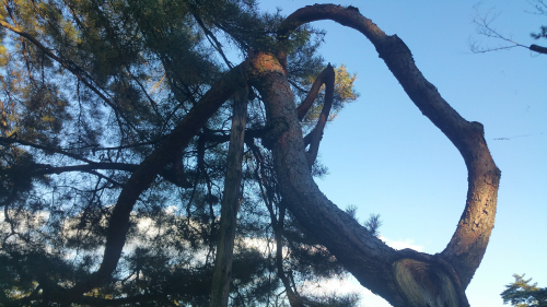 20161027_150538.jpg