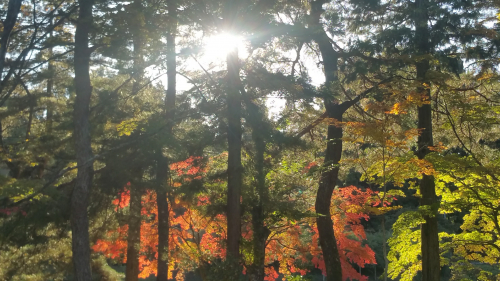 20161027_150638.jpg