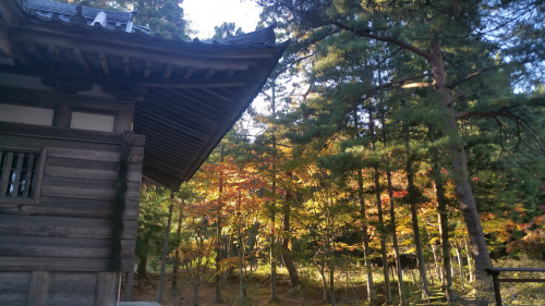20161027_150910.jpg