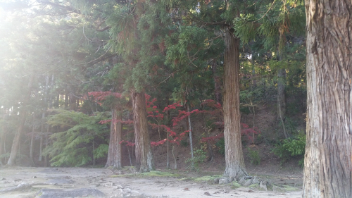 20161027_151107.jpg