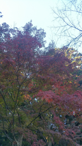 20161027_151127.jpg