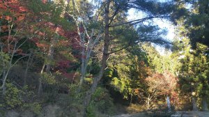 20161027_151140.jpg