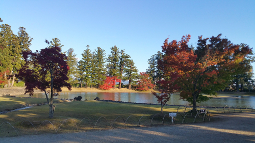 20161027_152019.jpg