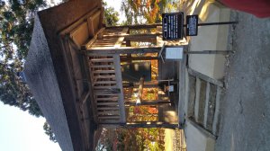20161027_152547.jpg
