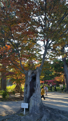 20161027_152551.jpg