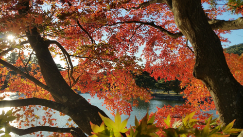 20161027_153017.jpg