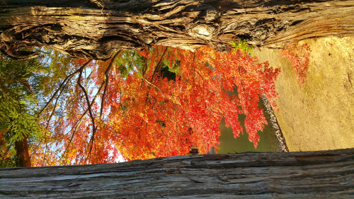 20161027_153047.jpg