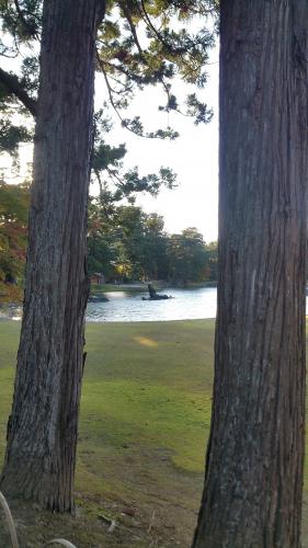 20161027_153139.jpg