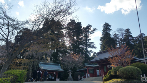 20170423_160811.jpg