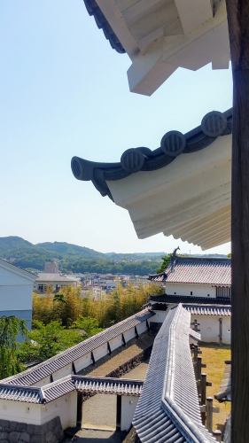 20170520_091626.jpg