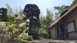 20170520_133432.jpg
