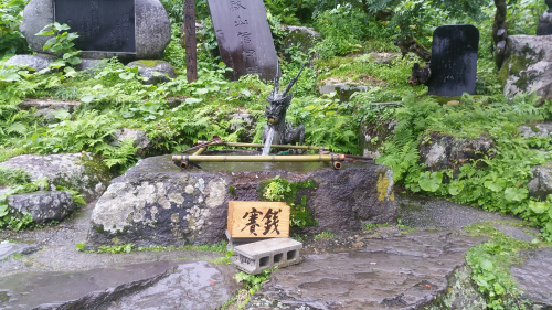 20170723_161525.jpg