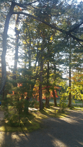 Picture20161027150448.jpg