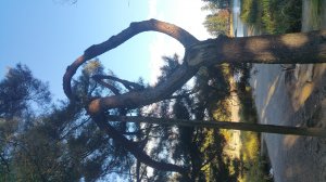 Picture20161027150544.jpg