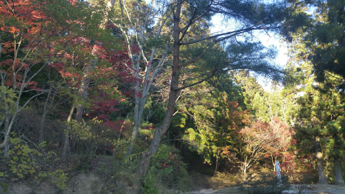 Picture20161027151140.jpg