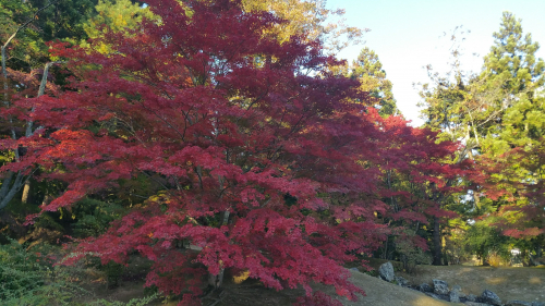 Picture20161027151444.jpg