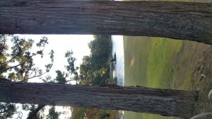 Picture20161027153139.jpg