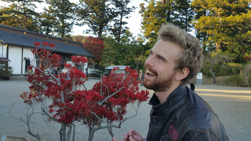 Picture20161027153914.jpg