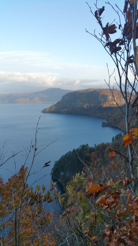 Picture20161028064842.jpg