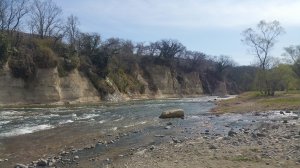 Picture20170410141614.jpg