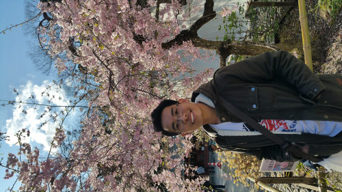 Picture20170423154217.jpg