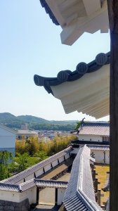 Picture20170520091625.jpg